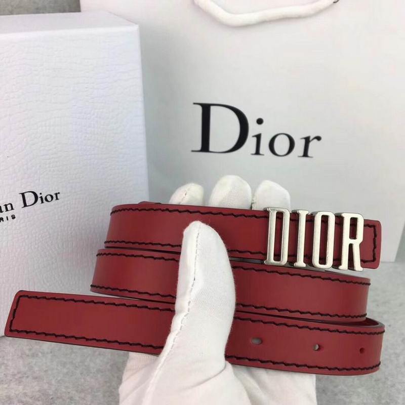 DIOR Belts 101